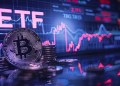 Bitcoin ETFs Recorded $117M Inflows, With Fidelity's FBTC As Leader